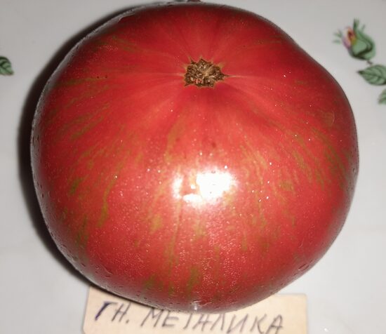 Гном Металлика